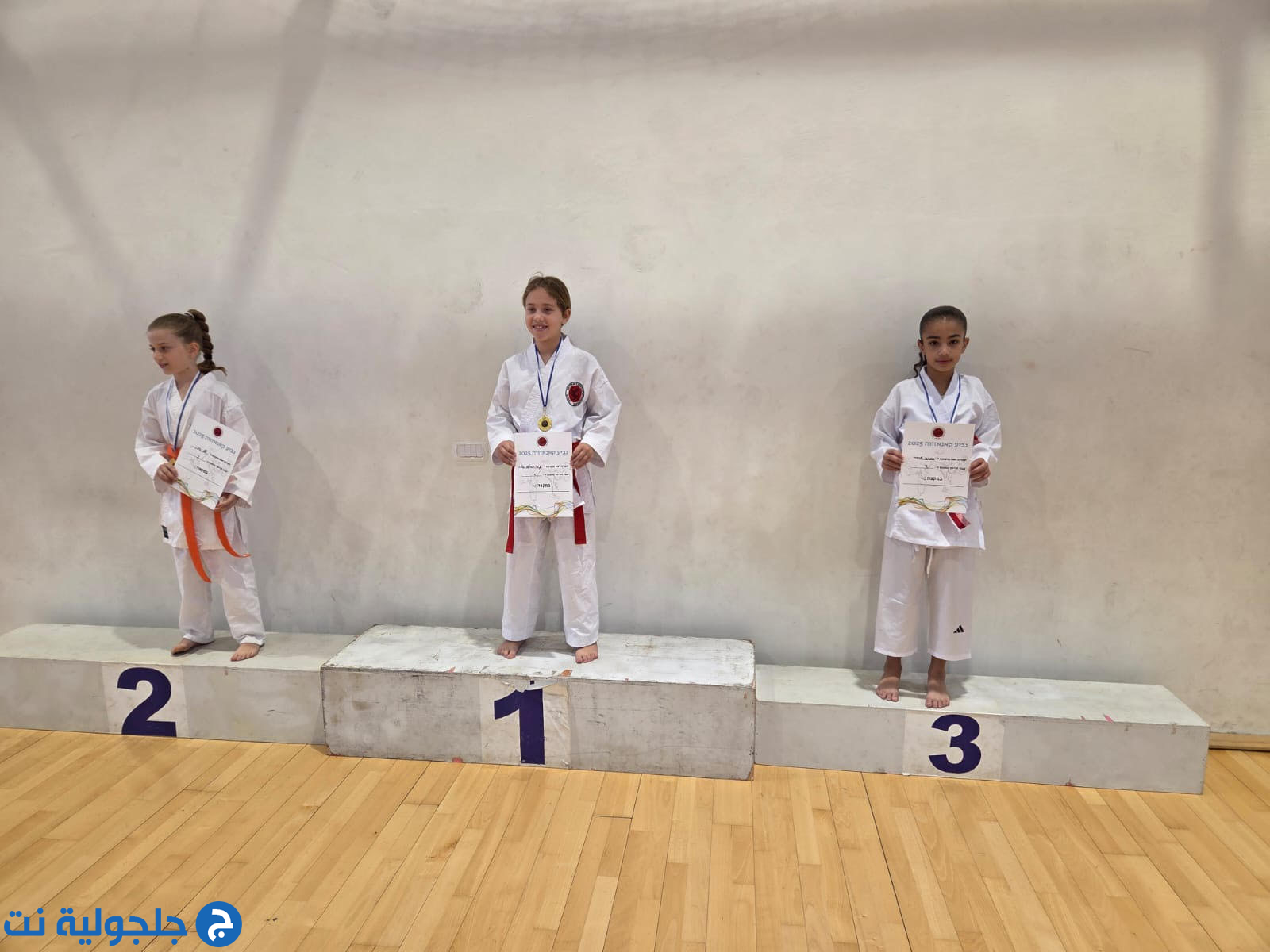 أبطال مدرسة حسني عرار للكراتيه وفنون القتال يحصدون الذهب في بطولة كأس كانيزاوا القطرية – حيفا 